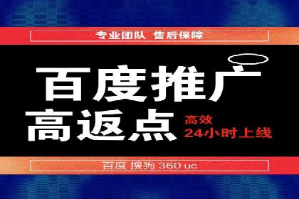 成功案例：一家企业如何通过百度关键词推广实现业绩翻倍