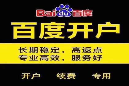 案例解析：SEM投放助力电商增长
